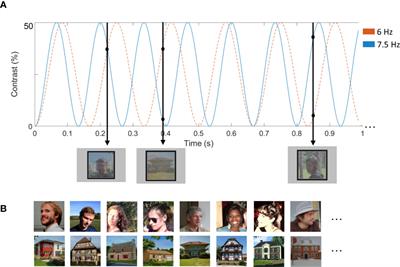 Frequency-Tagging Electroencephalography of Superimposed Social and Non-Social Visual Stimulation Streams Reveals Reduced Saliency of Faces in Autism Spectrum Disorder